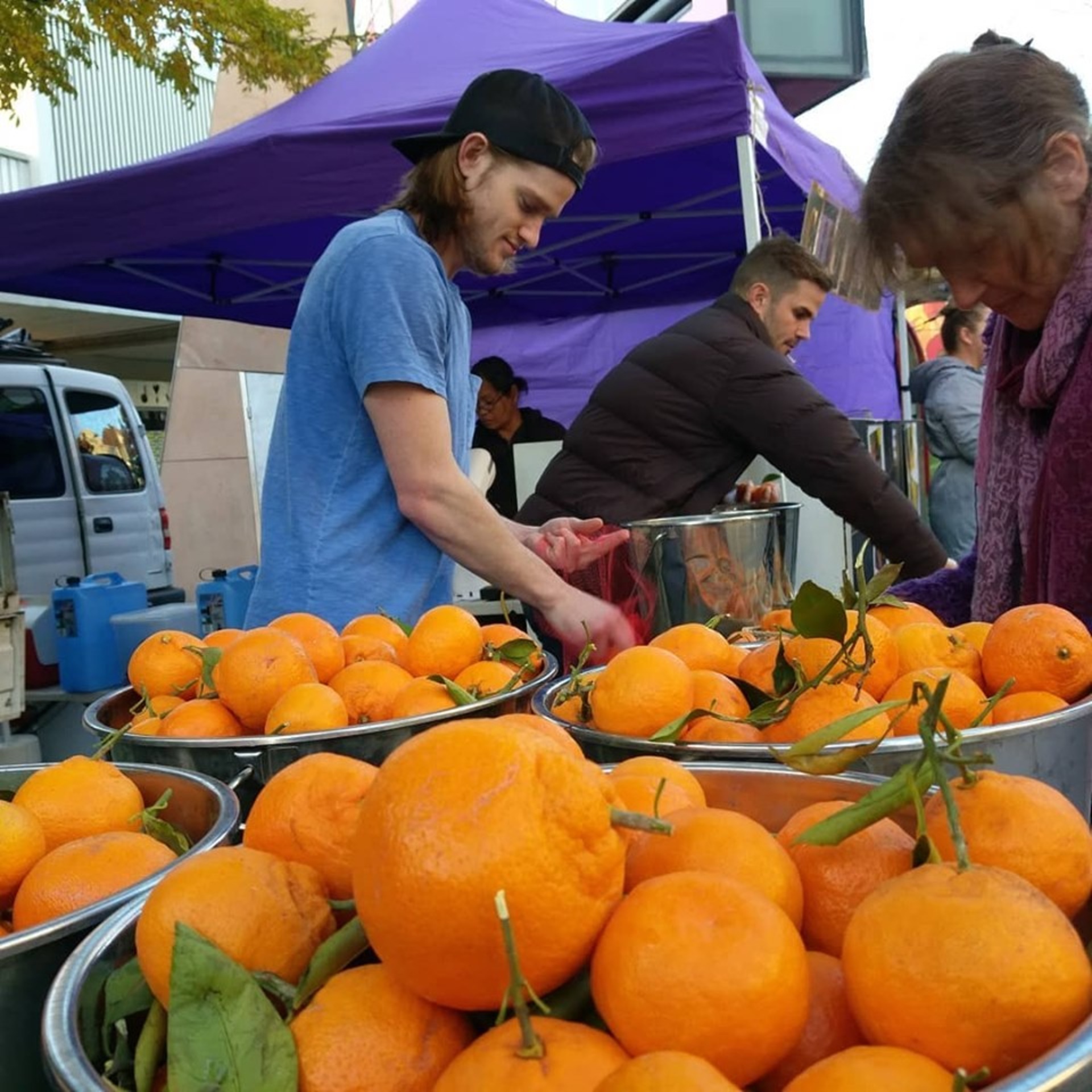 Locally grown citrus at Bendigo Farmers' Market