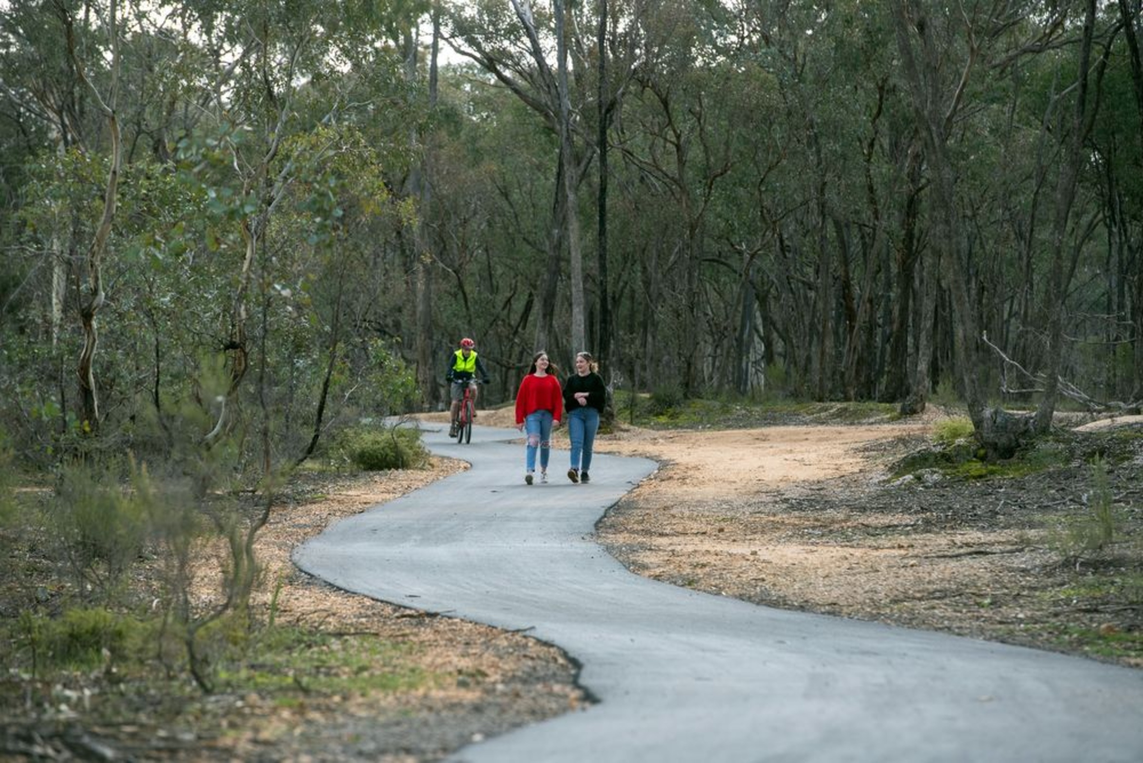 Greater Bendigo National Park walking track Strathfieldsaye